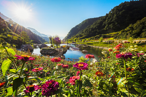 爛若仙境漫山花溪谷.jpg1.jpg